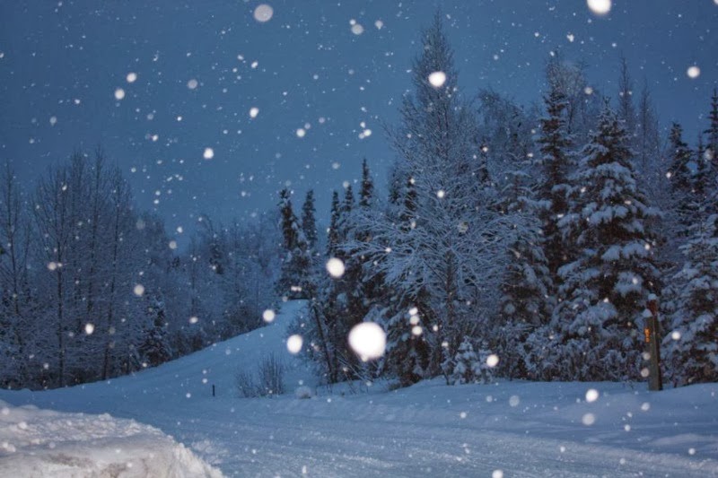 красивый снегопад. зимняя ночь. снежная ночь слушать. зима ночь. снежная ночь слушать.