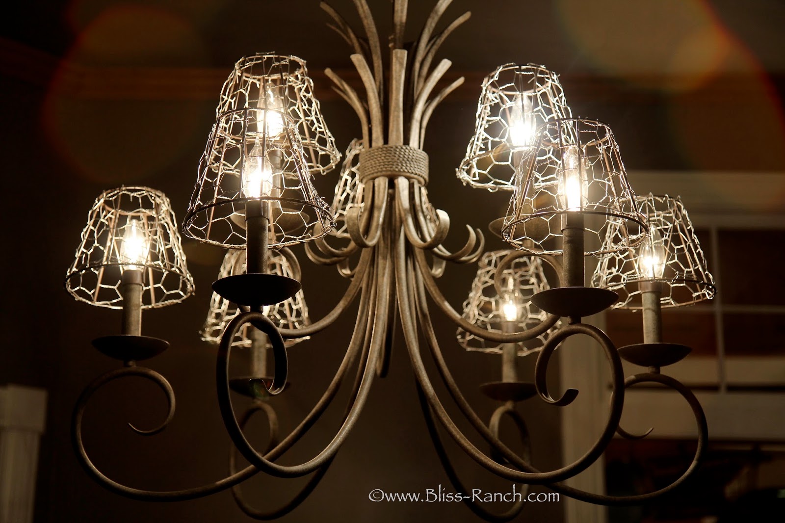 Bliss Ranch Chicken Wire Light Shade Covers
