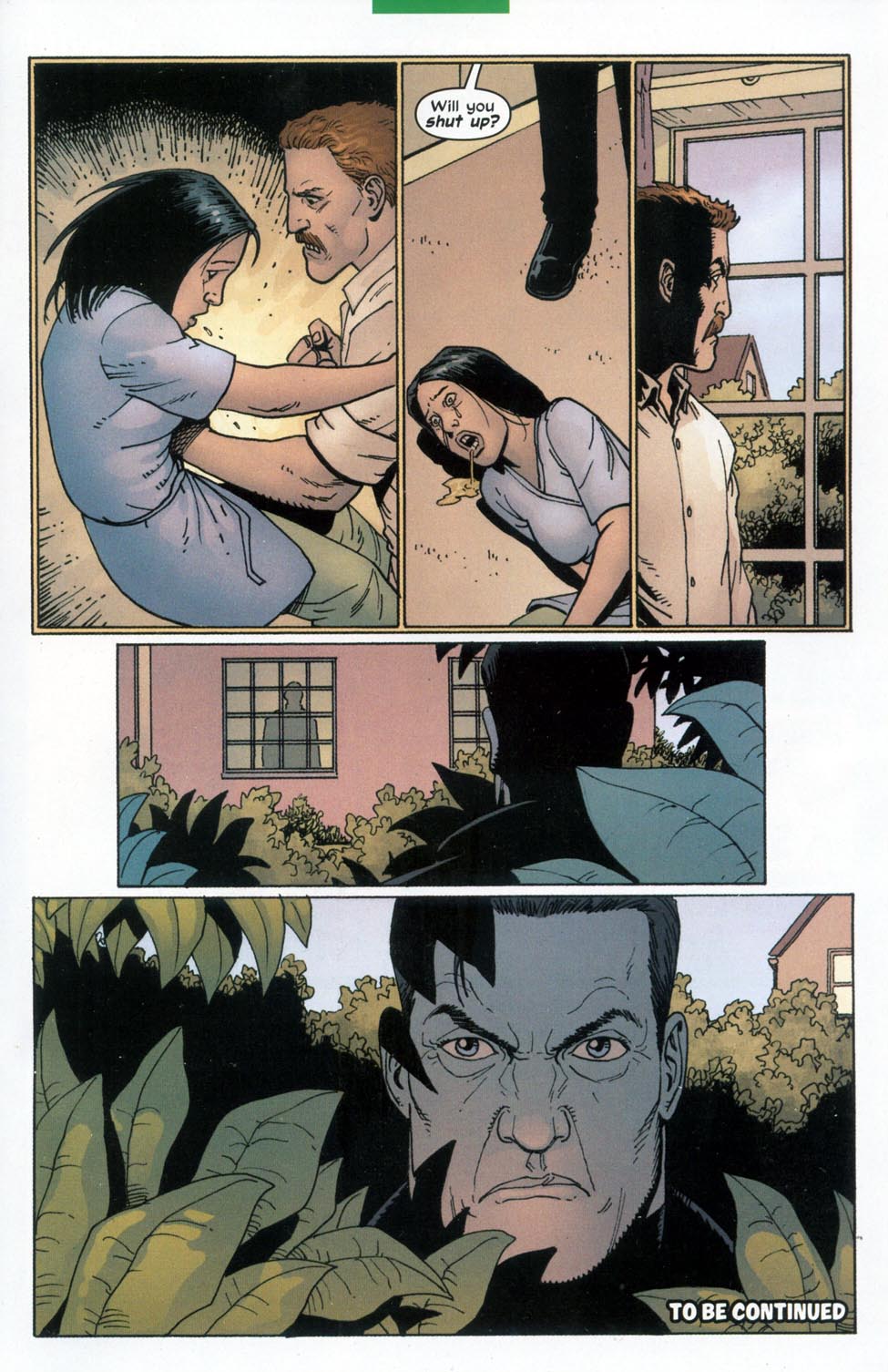The Punisher (2001) Issue #20 - Brotherhood #01 #20 - English 23