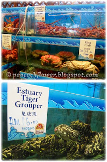 Lobsters, king crabs and estuary tiger grouper