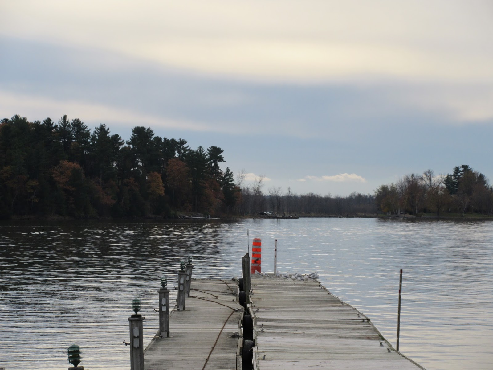 Marlene's Space At Montebello City Park