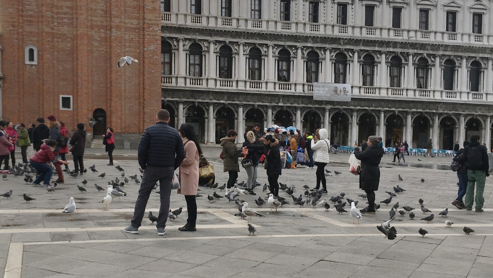 Nouveaux Aturins Venise La Aussi La Nature C Est Hostile Et Malveillant
