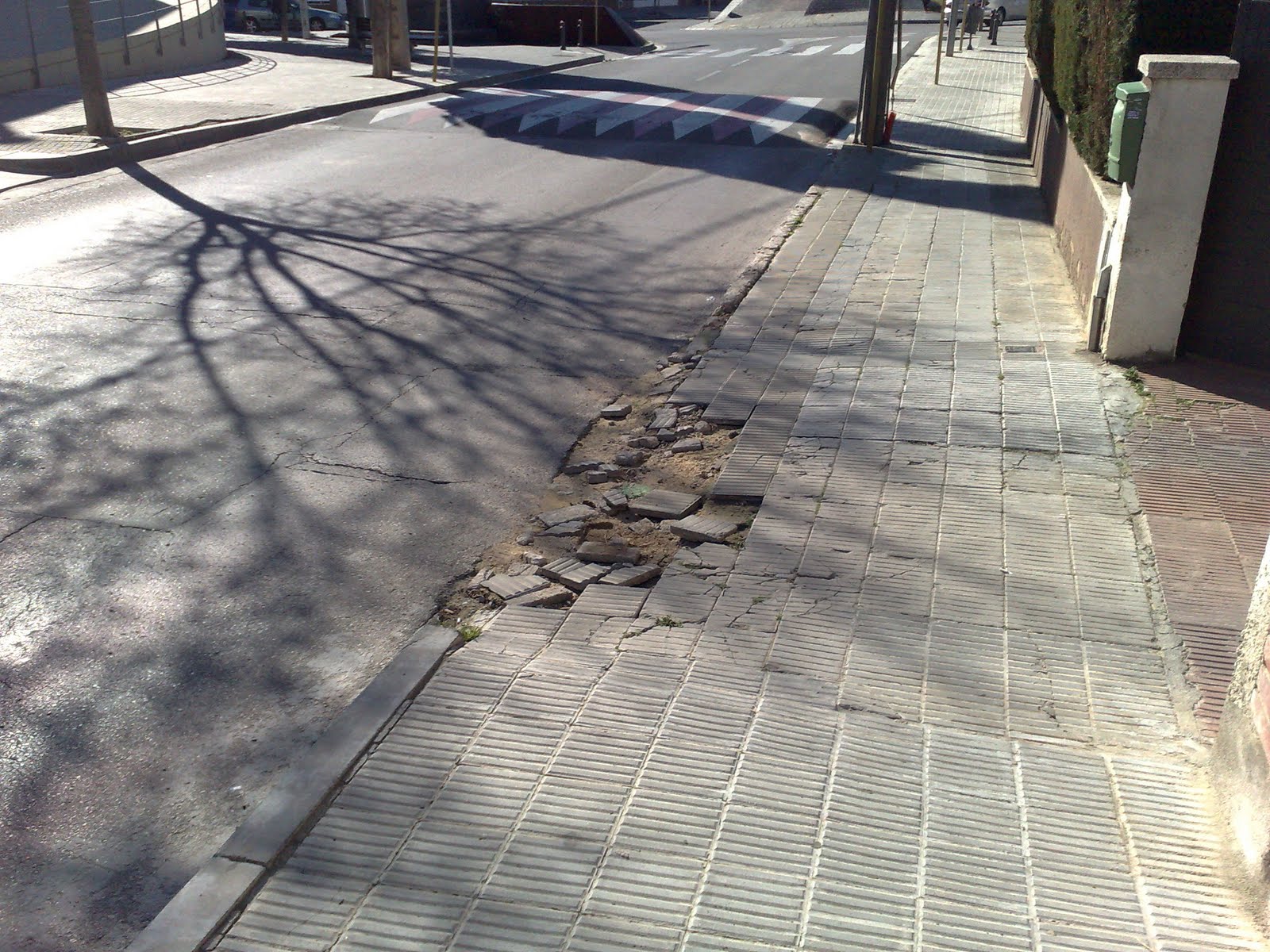 Denise Milani Nipple Slip