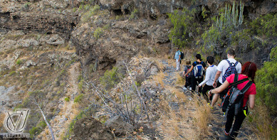 Barranco de Herques