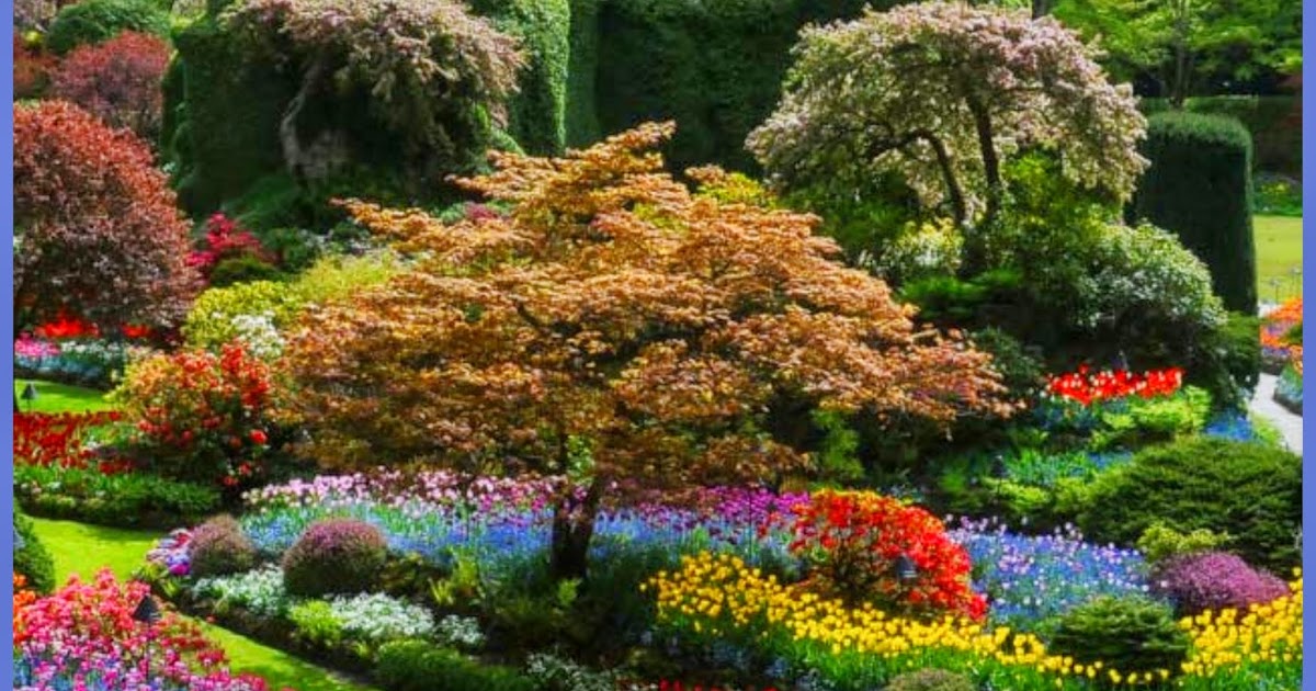Re -Train Your Brain To Happiness: Butchart Gardens, Vancouver Island - Canada.
