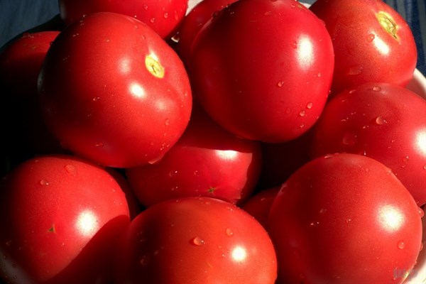 西紅柿具有兩面性：營養價值雖高，也有不適宜人群