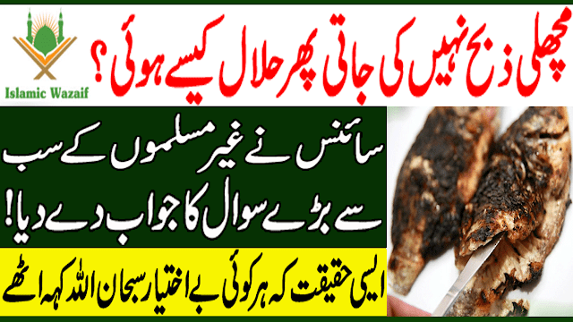 Why Fish Is Halal Without Slaughtering/Machli Zibah Ki Bagair Halal Kaisay/Islamic Wazaif