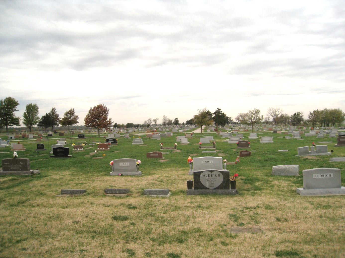 The Rice Kids Small, Serene,