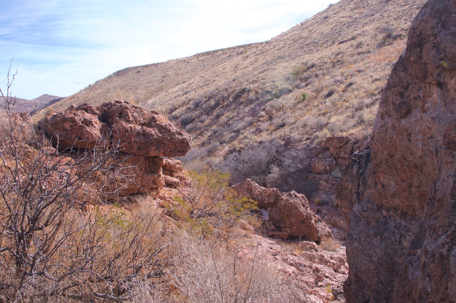 Southern New Mexico Explorer Rattlesnake Hills Organ Mountains Desert