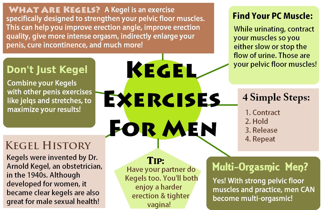 Empress Organics Benefits Of Kegel Exercises For Men