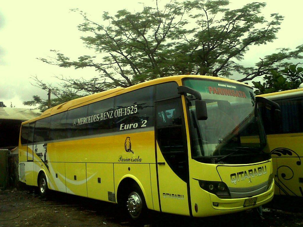 Транспорт дании. Новый 82c автобус. Yellow blue bus. C bus. C710 автобус.