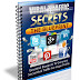 Learn How To Generate Viral Traffic From Social Media and Networking Sites 