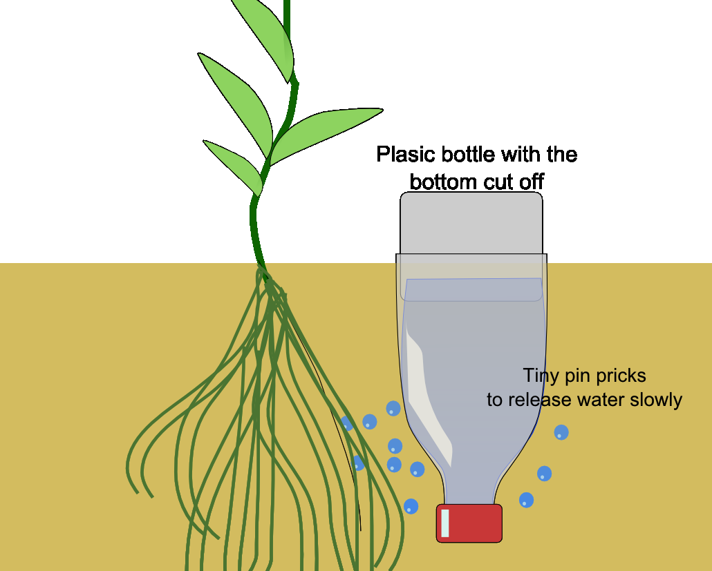 Drip Irrigation Bottles Agriculture, Technology, and Business Market