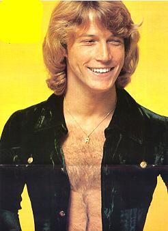 Hairy Chested Blonds: G is for Andy Gibb