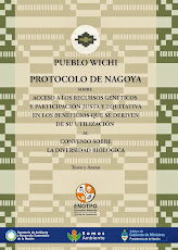 PROTOCOLO DE NAGOYA EN IDIOMA WICHI