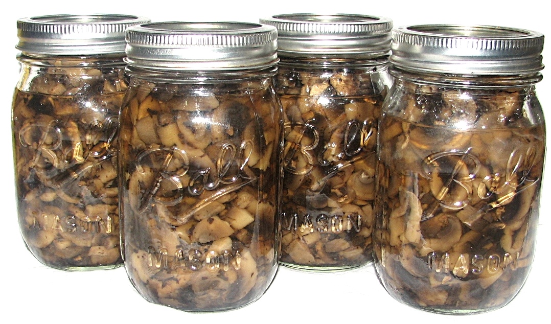FOOD PRESERVING PRESSURE CANNED MUSHROOM SOUP