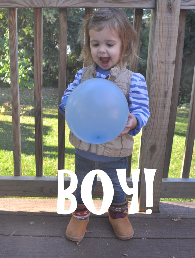 sibling gender reveal