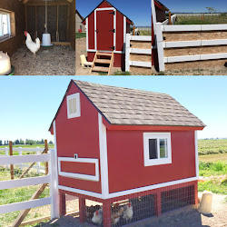 how does a chicken coop work 3