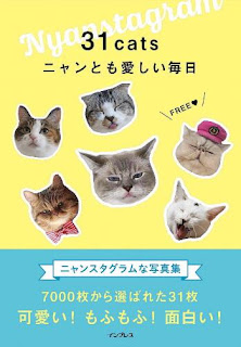 31cats ニャンとも愛しい毎日