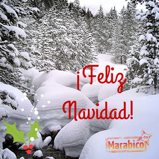 El propósito del año nuevo.