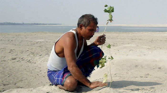 40 Years Ago A 16-Year-Old Began Planting A Tree Every Day On A Remote Island, And Today It’s Unrecognizable