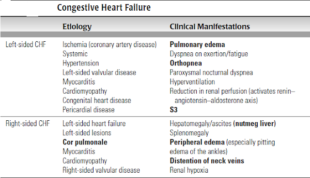 chf pathophysiology