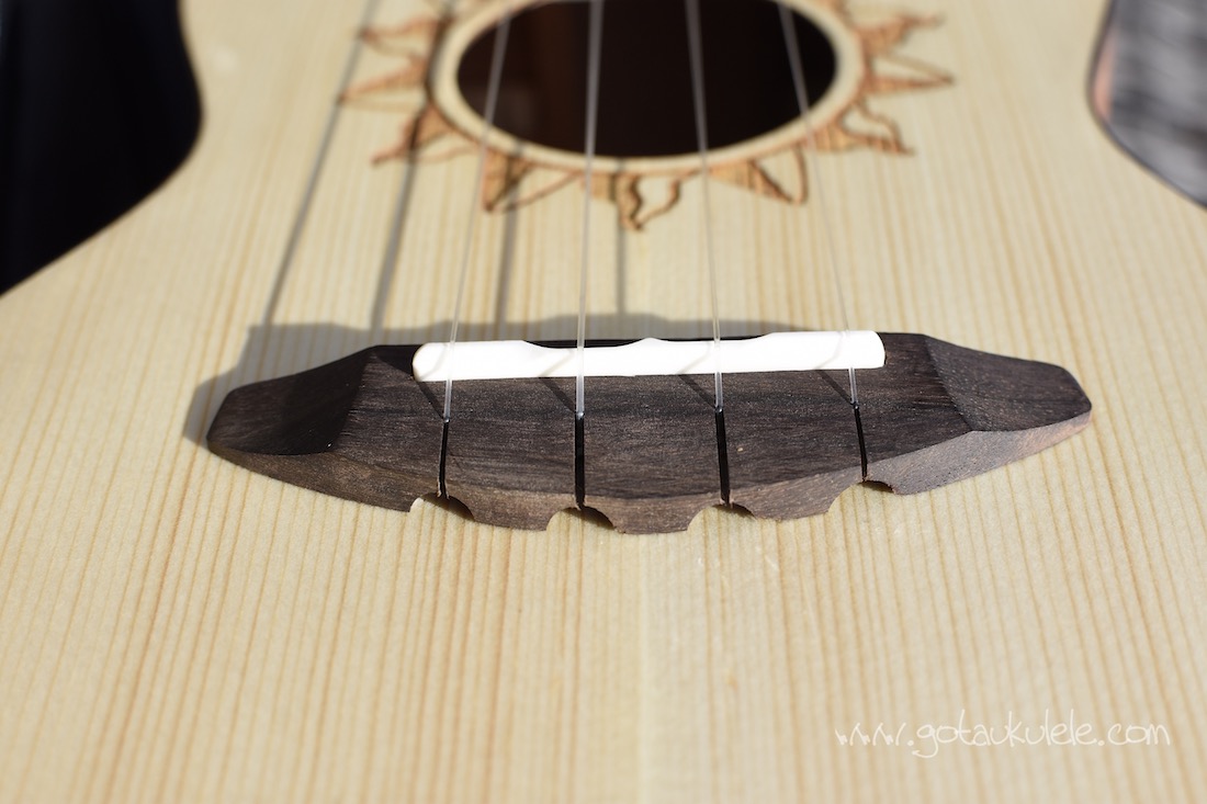 Donner DUC3 Concert Ukulele REVIEW