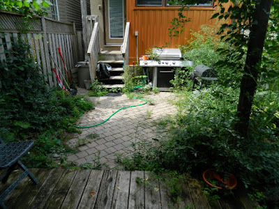 Toronto Playter Estates backyard weeding before by Paul Jung Gardening Services