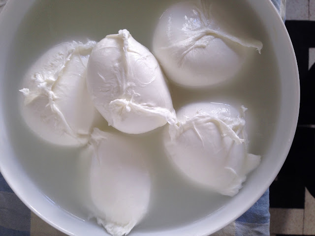 mozzarella di bufala cut by hand mozzarella di bufala cut by hand