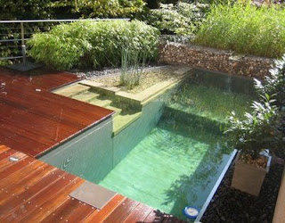 Kolam Renang Rumah Minimalis Sederhana Nampak Indah Kolam Renang Rumah Minimalis Sederhana Nampak Indah