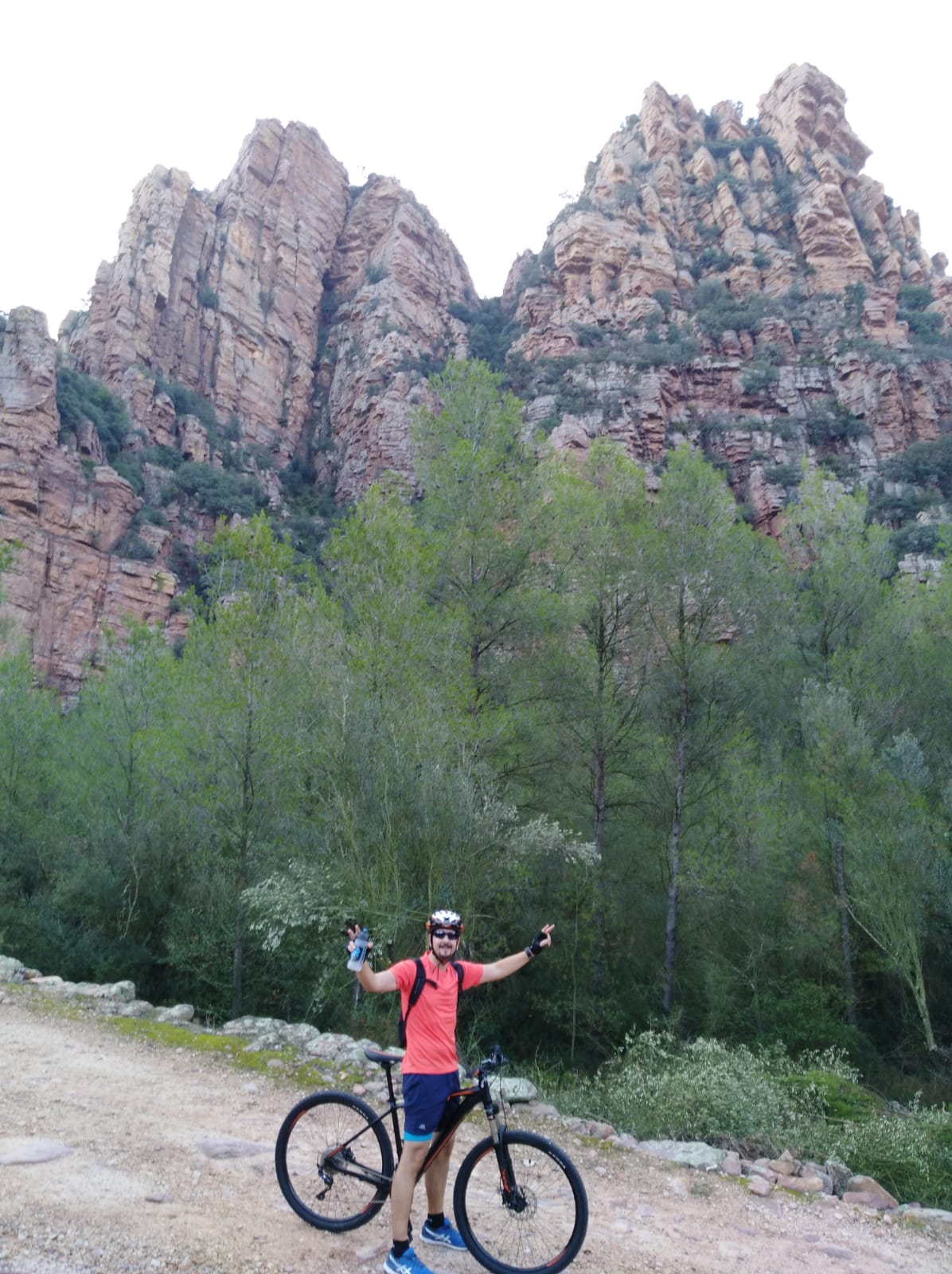 orbea mx 29 20 bike 2018