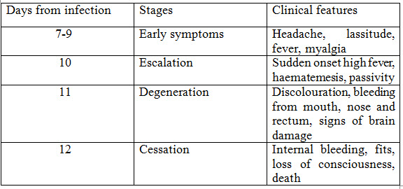 Clinical Features