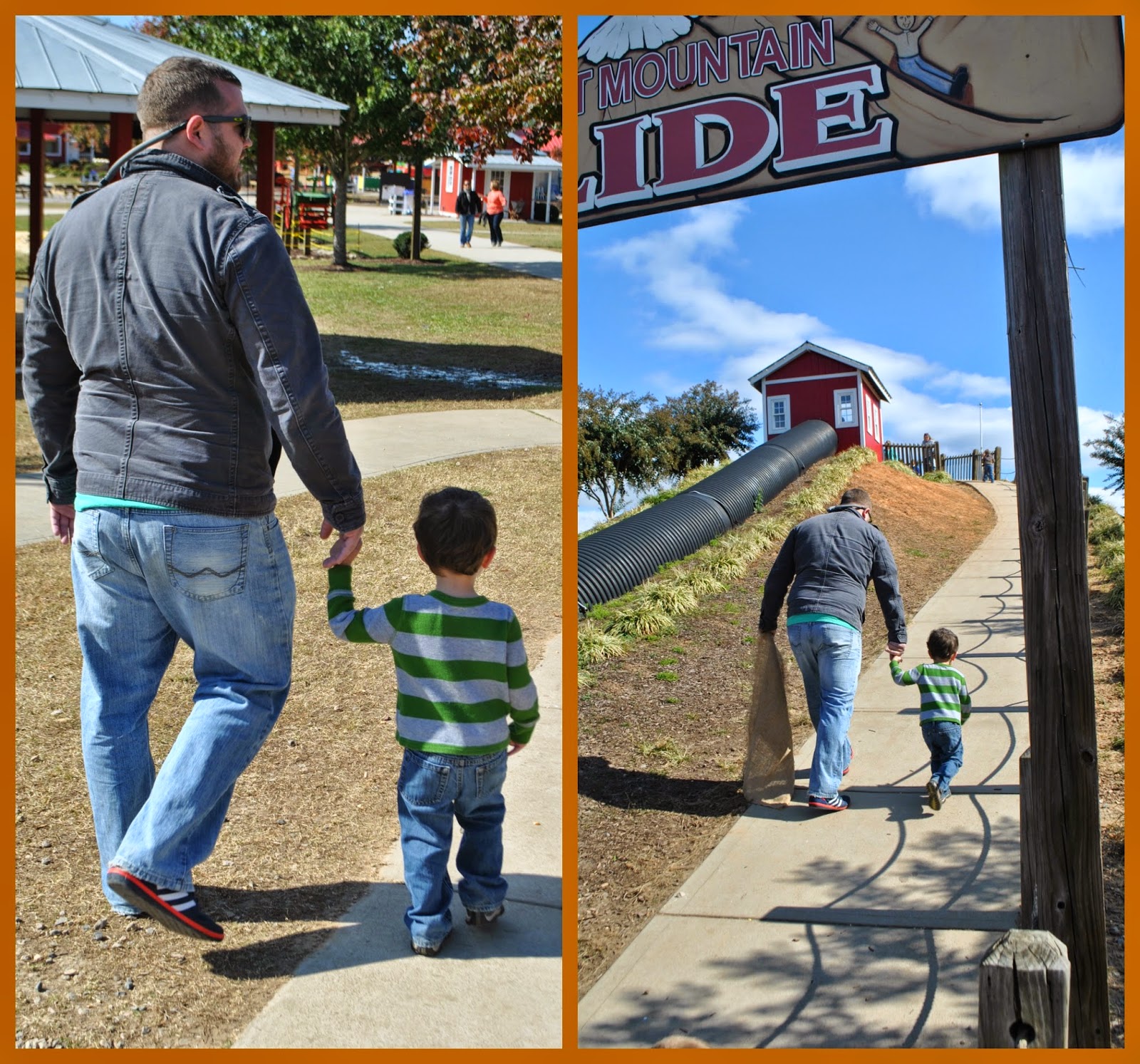 Hill Ridge Ridfe Farm P + L + G + G: Hill Ridge Farms