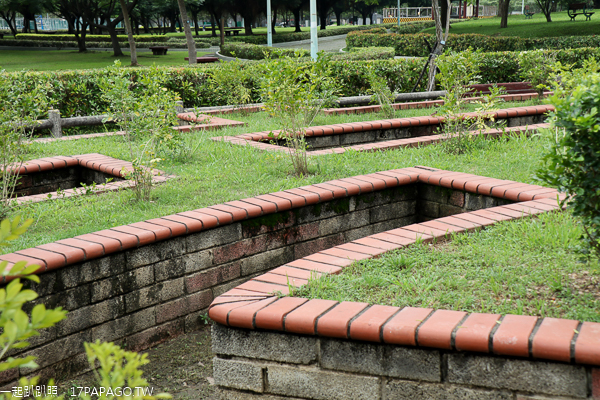 台中北屯|廍子公園|黃花風鈴木|滑板場|巨人腳印公園|綠籬迷宮|生態池|拱橋 台中北屯|廍子公園|黃花風鈴木|滑板場|巨人腳印公園|綠籬迷宮|生態池|拱橋