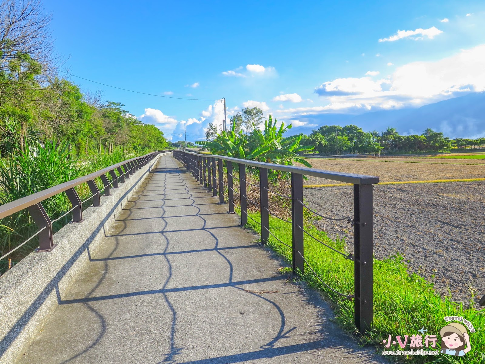 池上伯朗大道 黃金稻浪/油菜花季 單車路線