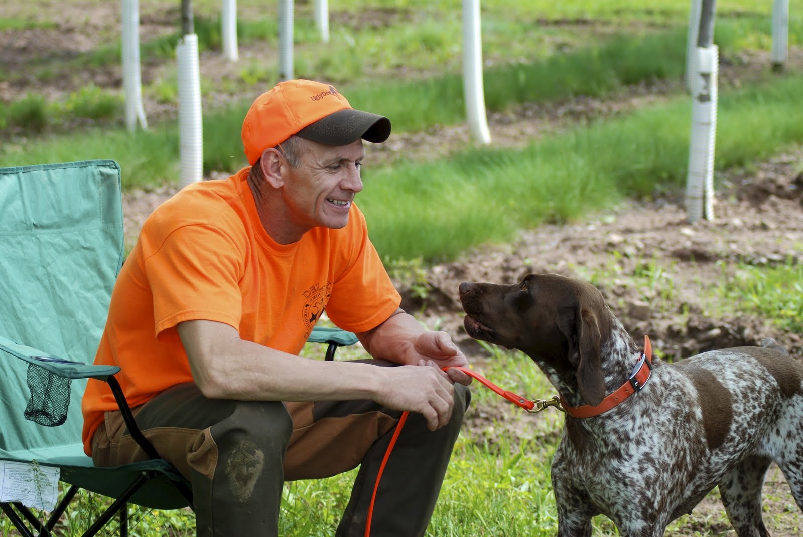 Adventures of a GSP Hunting Dog The Good, The Bad and The Ugly Senior