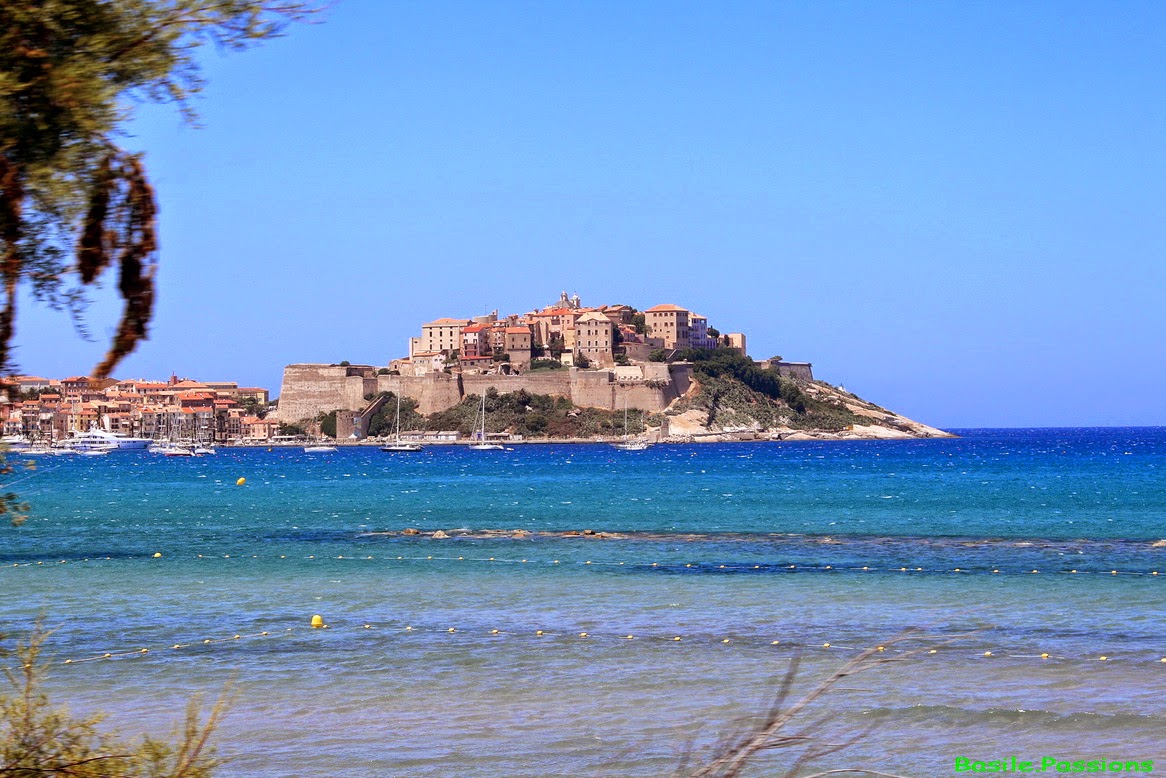 Chemins de Fer de la Corse - Train - Calvi (2B) CORSE - Un aller/retour ...
