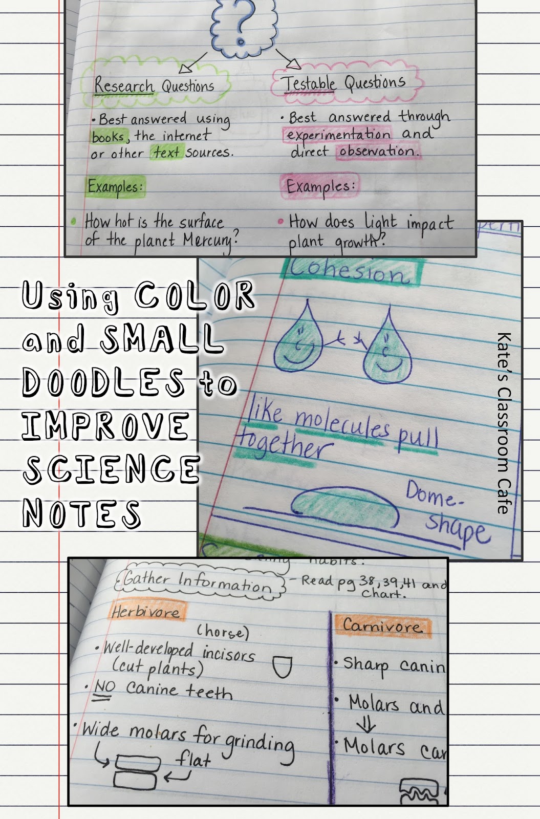 kate s science classroom