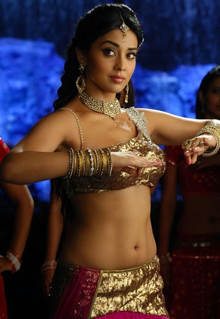 Tamil Movie Actresses Shriya Saran Navel Show In Sari Pictures Without