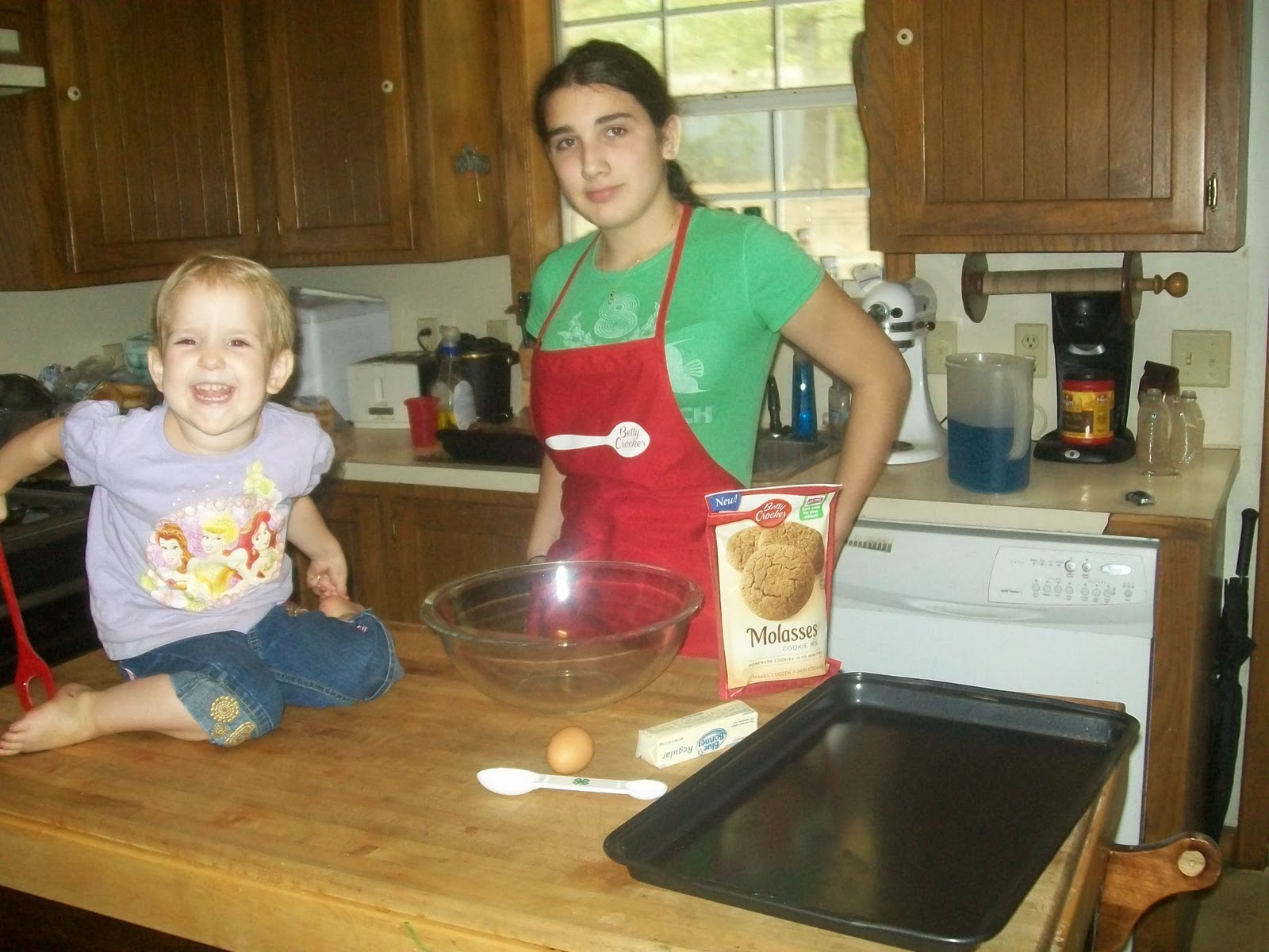 The Happy Homeschool Mom Betty Crocker Molasses Cookies Review and