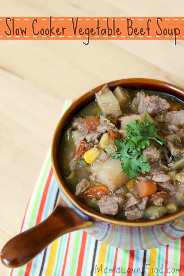 Mama Loves Food! Slow Cooker Vegetable Beef Soup