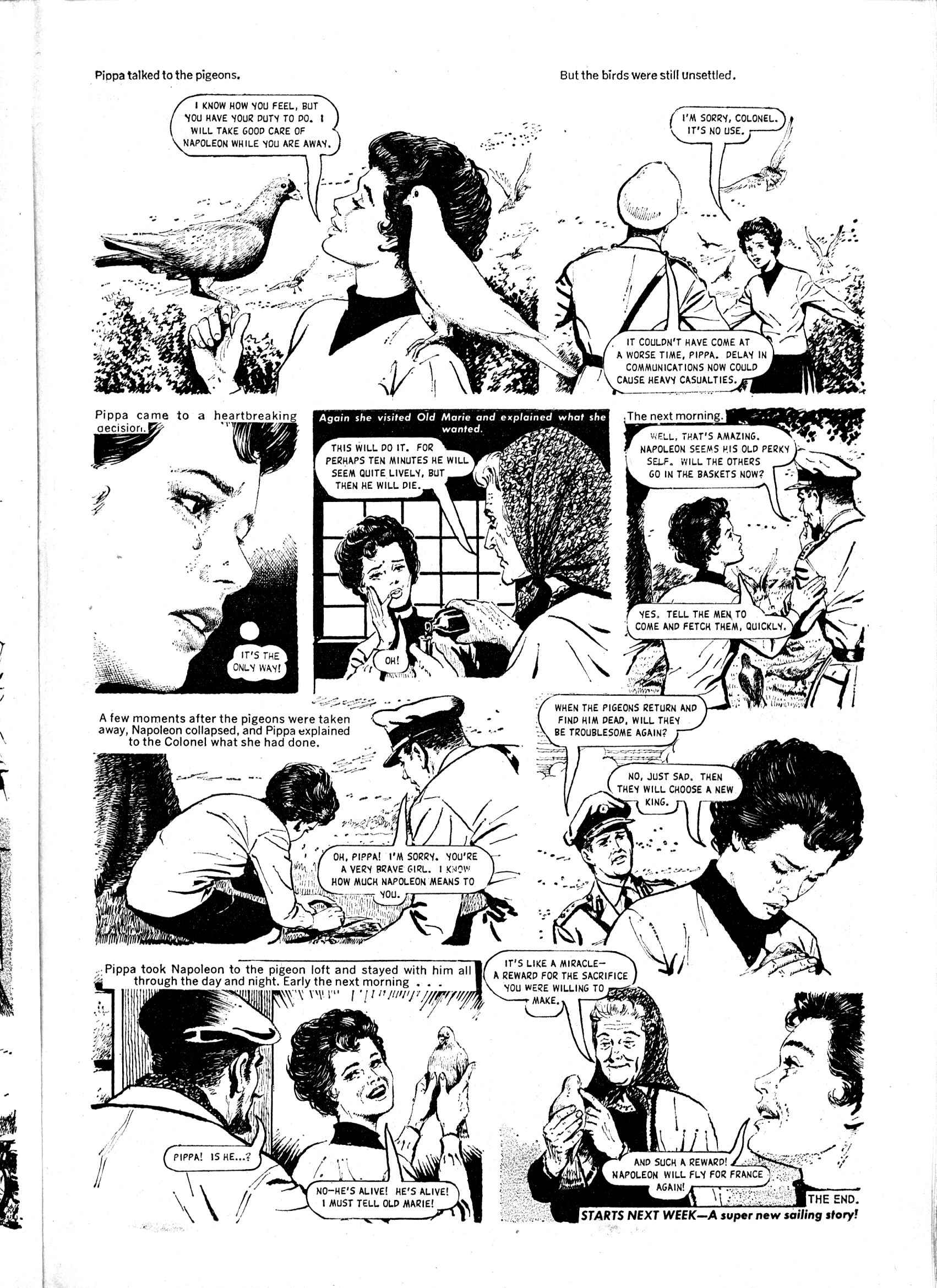 Read online Judy comic -  Issue #365 - 19