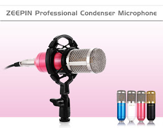 Microphone, invention, device, new