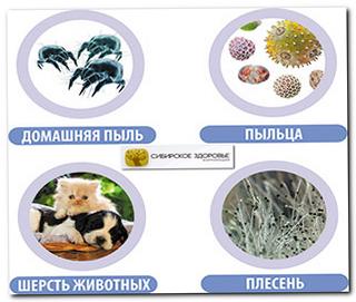 Сибирское Здоровье при аллергии