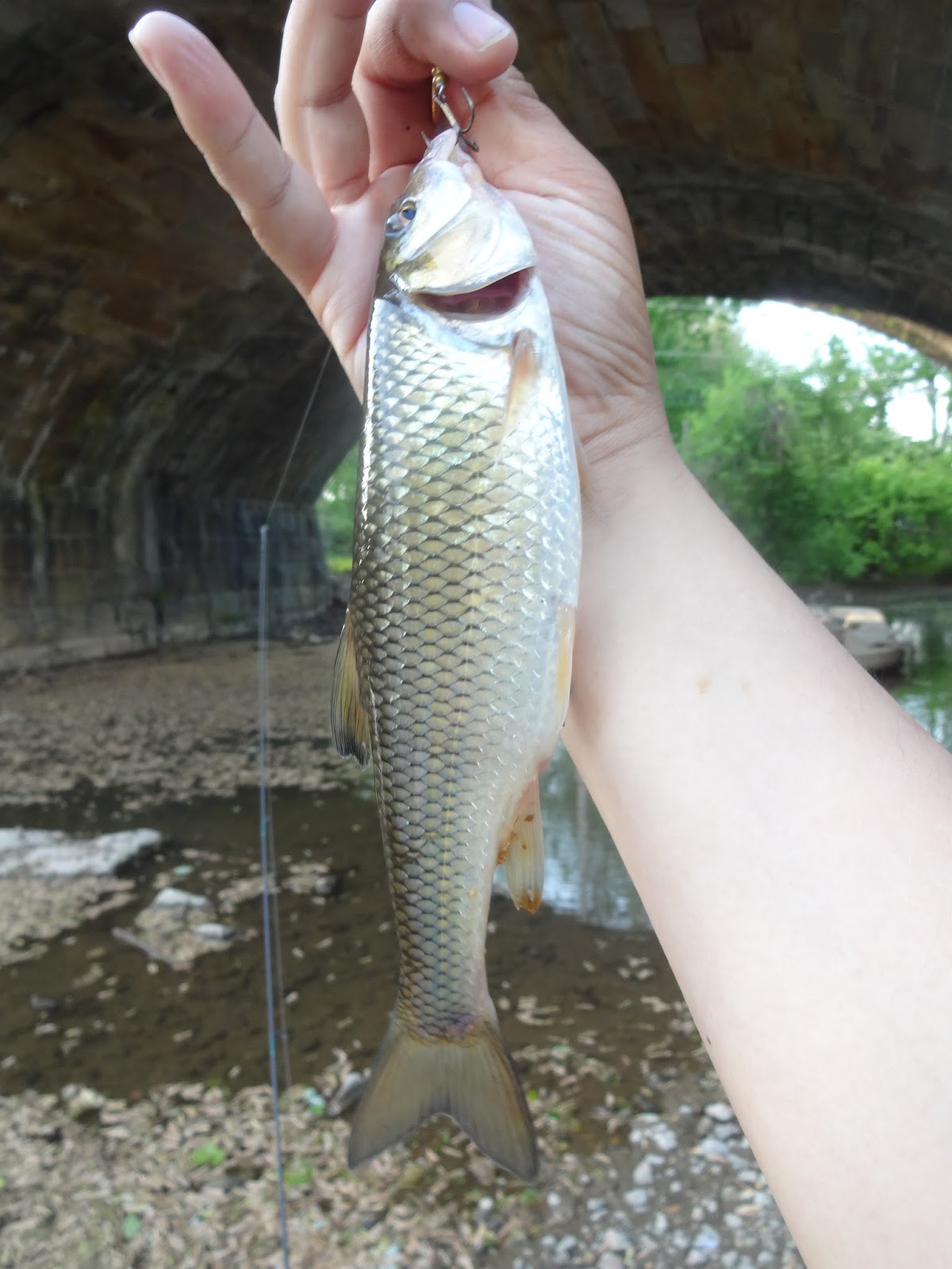 Extreme Philly Fishing: May Fishing Sessions: 05/12 - Exploring and ...