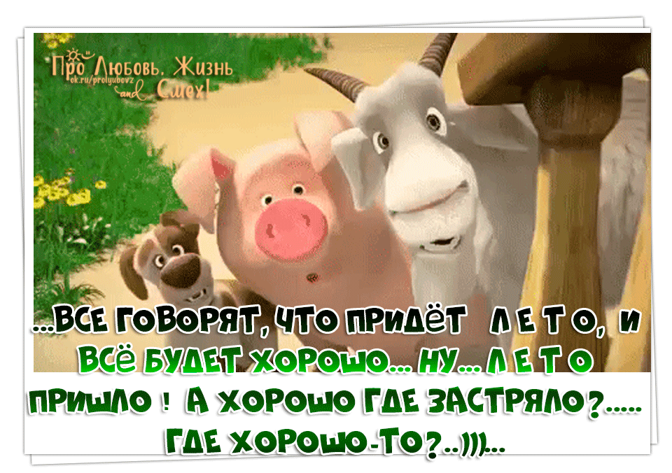 Все говорят не мое. Мемы про собеседование. Картинки мой мужик. Цитаты цоя в картинках. Смешные надписи с котами.