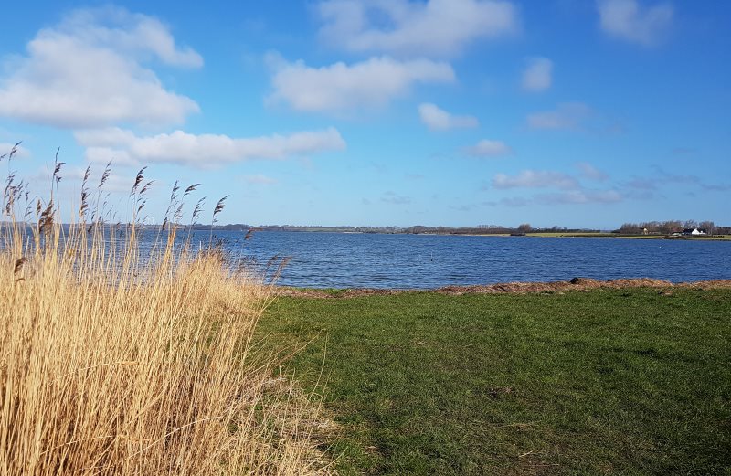 Buchsichten Marz 2018