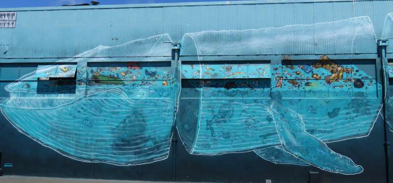 Sea Walls: Murals for Oceans