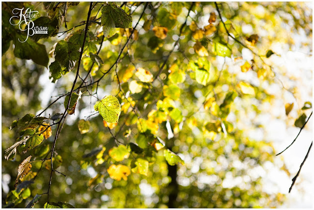autumn leaves, autumn sunshine, st helens church, st helens low fell, low fell, eslington villa, eslington villa christening, eslington villa wedding,autumn christening, newcastle christening photographer, gateshead christening, baptism, professional photographer for christenings, katie byram photographer, christening cake,