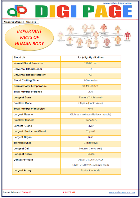 Digi Page -Important Facts of Human Body Digi Page -Important Facts of Human Body